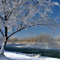 Reisetipps für den Winter