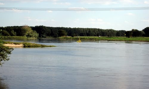Die Mündung der Saale in die Elbe