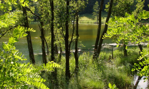 Seenlandschaft der Masuren