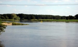 Die Mündung der Saale in die Elbe  